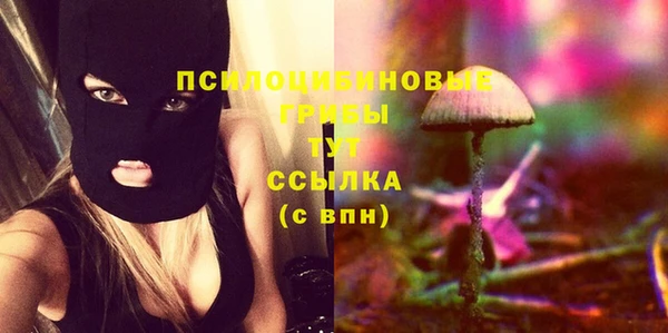 COCAINE Белокуриха