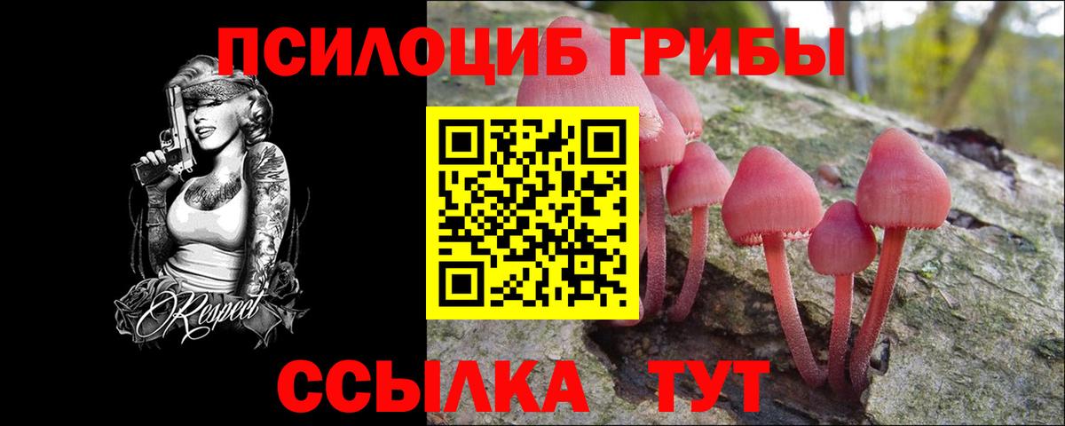 Псилоцибиновые грибы Psilocybine cubensis Долгопрудный