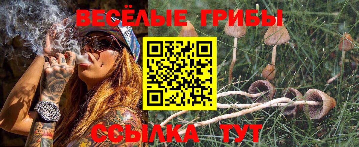 Галлюциногенные грибы ЛСД  наркошоп  Долгопрудный  Вход с VPN 