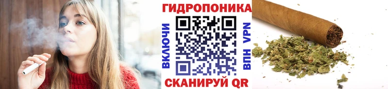 Шишки марихуана планчик  Долгопрудный 